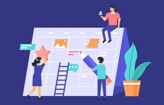 Steps of Management Plan